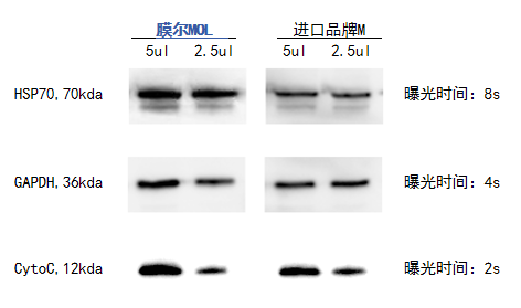 MG不朽情缘网站产品推荐：膜尔新材0.45μmPVDF膜—实验数据
