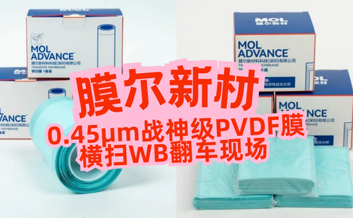 “膜”力加倍！膜尔新材战神级PVDF膜横扫WB翻车现场—0.45μm精准孔径狙杀各类蛋白，背景纯净如冰川