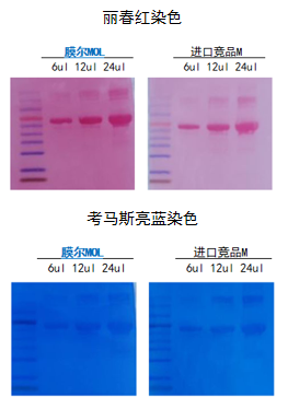MG不朽情缘网站产品推荐：膜尔新材0.45μmPVDF膜—实验数据