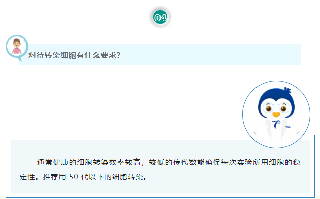 对待转染细胞有什么要求？通常健康的细胞转染效率较高，较低的传代数能确保每次实验所用细胞的稳定性。推荐用 50 代以下的细胞转染。