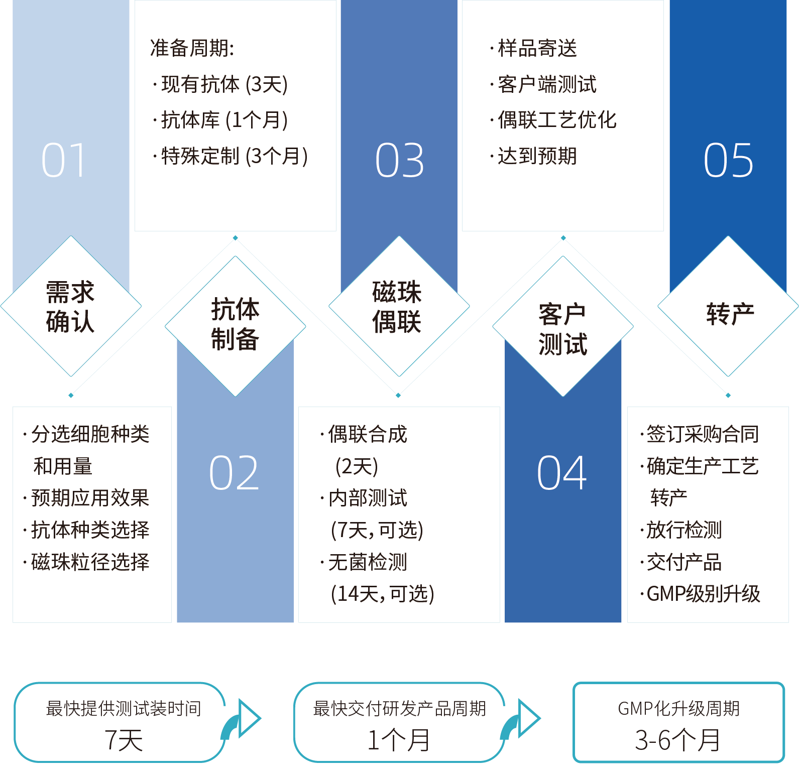 MG不朽情缘网站细胞分选激活磁珠/分选磁珠定制，定制流程